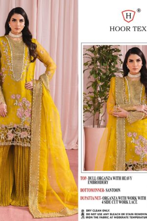 HOOR TEXOR 34 ORGANZA DESIGNER PAKISTANI KURTI WITH PRICE